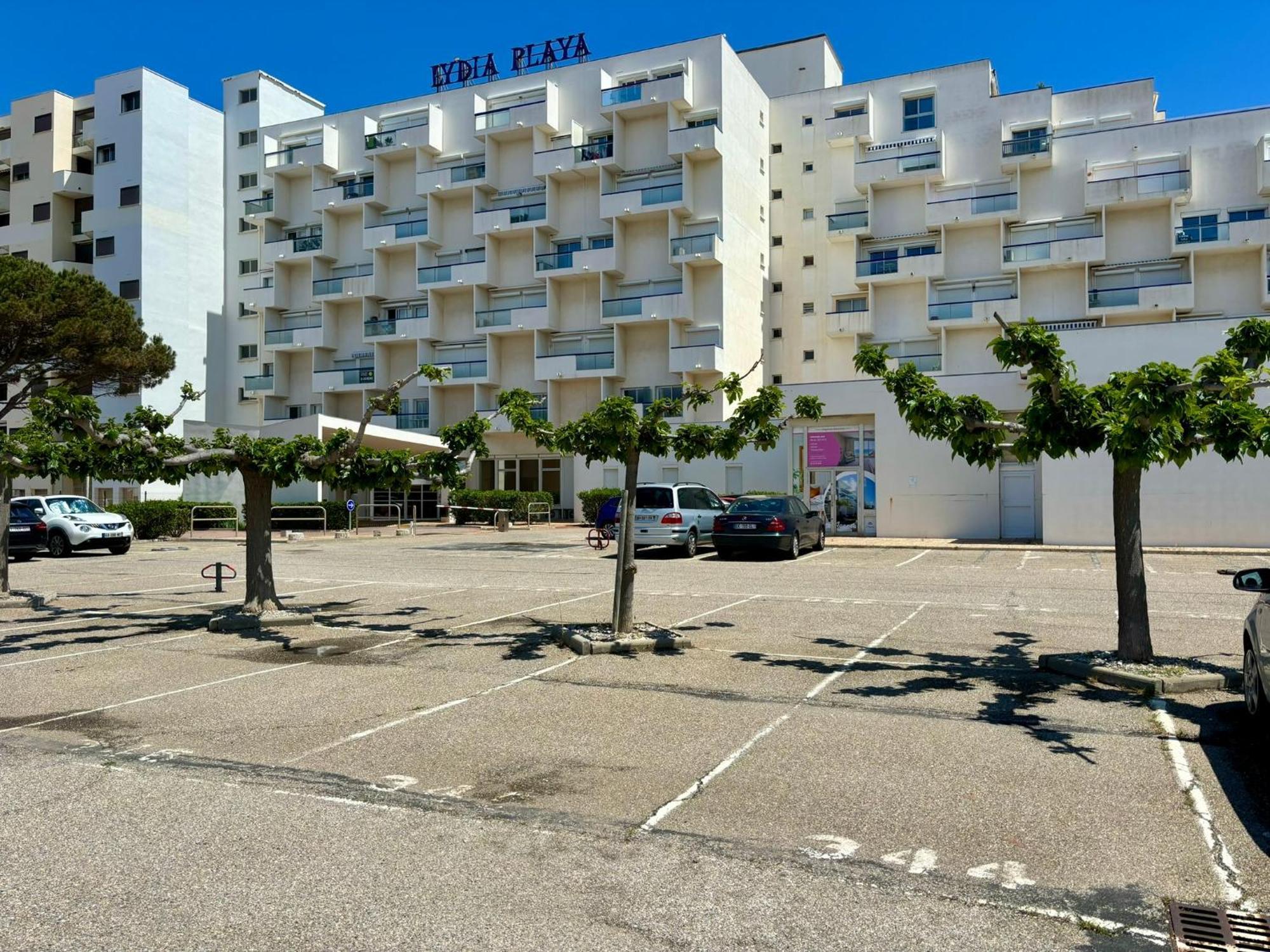 *Au Lydia* Appartement Vue Sur Mer, Avec Piscine. Ле-Баркарес Екстер'єр фото